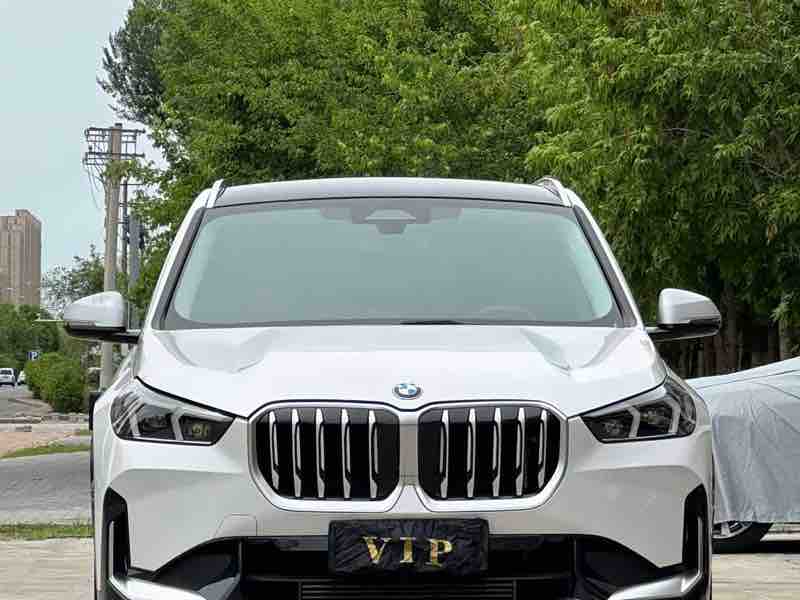 BMW X1 sDrive 20Li X — фото 2