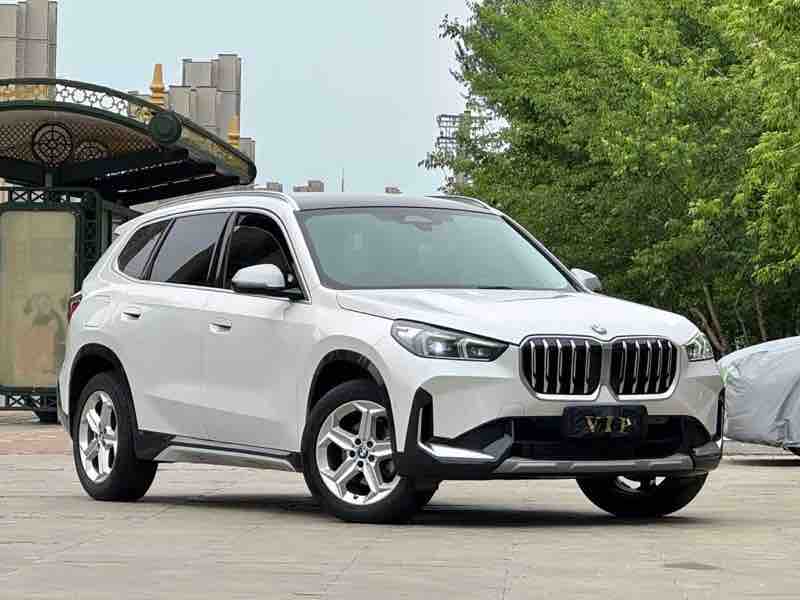 BMW X1 sDrive 20Li X — фото 3