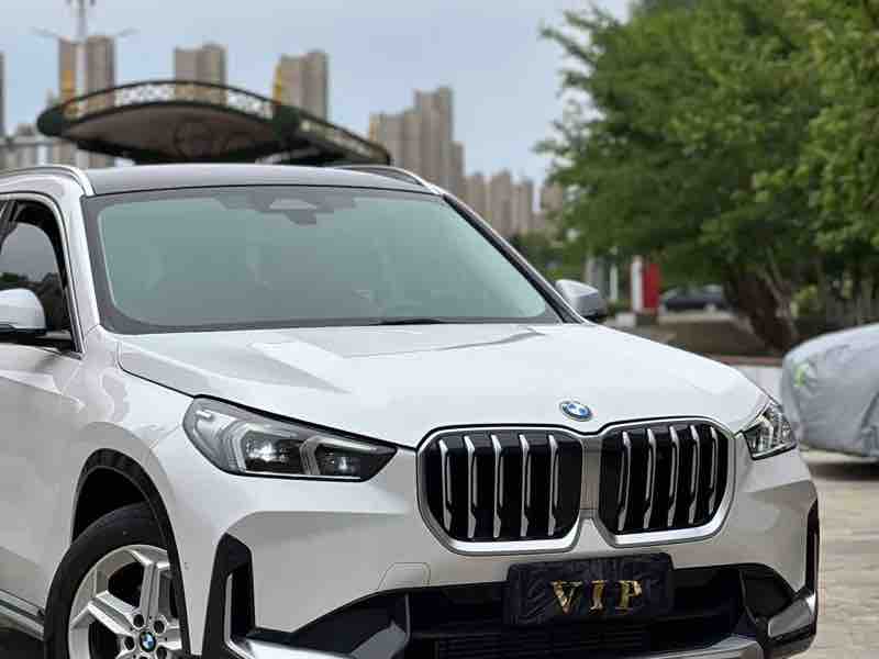 BMW X1 sDrive 20Li X — фото 4