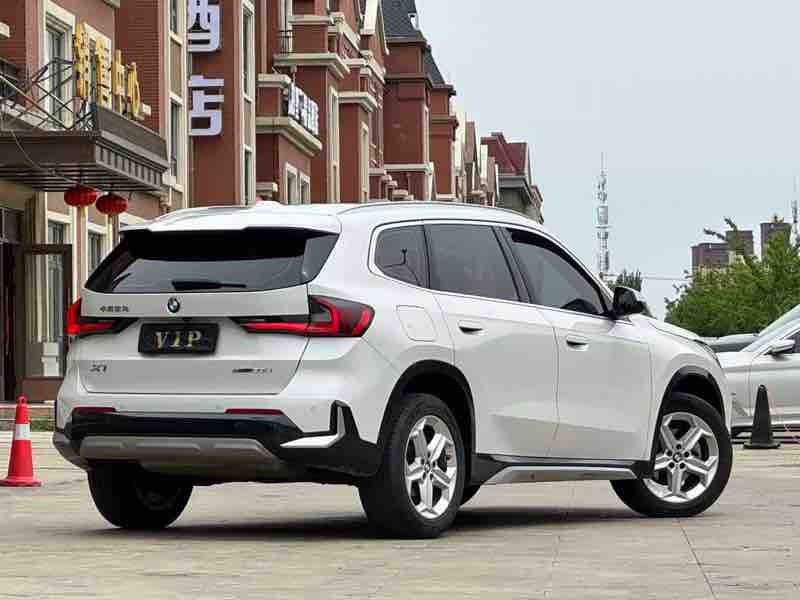 BMW X1 sDrive 20Li X — фото 5