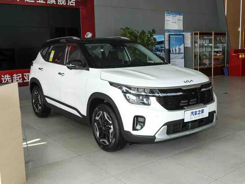 Kia Seltos 1.5L Luxury — фото 2