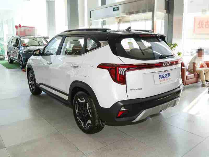 Kia Seltos 1.5L Luxury — фото 3