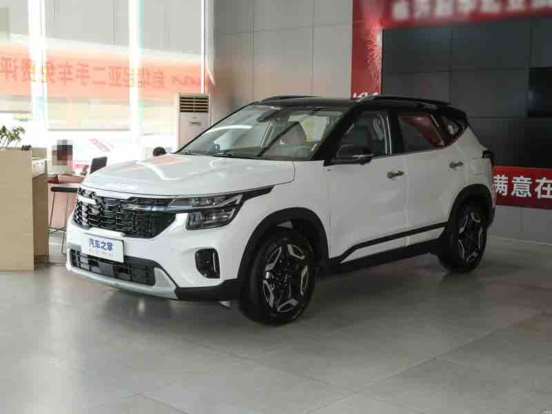 Kia Seltos 1.5L Luxury — фото 4