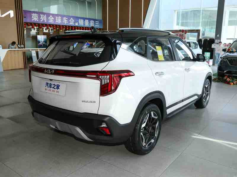 Kia Seltos 1.5L Luxury — фото 6