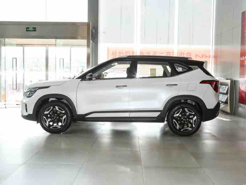 Kia Seltos 1.5L Luxury — фото 7
