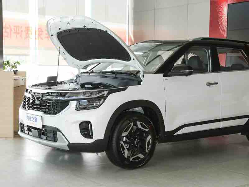 Kia Seltos 1.5L Luxury — фото 8
