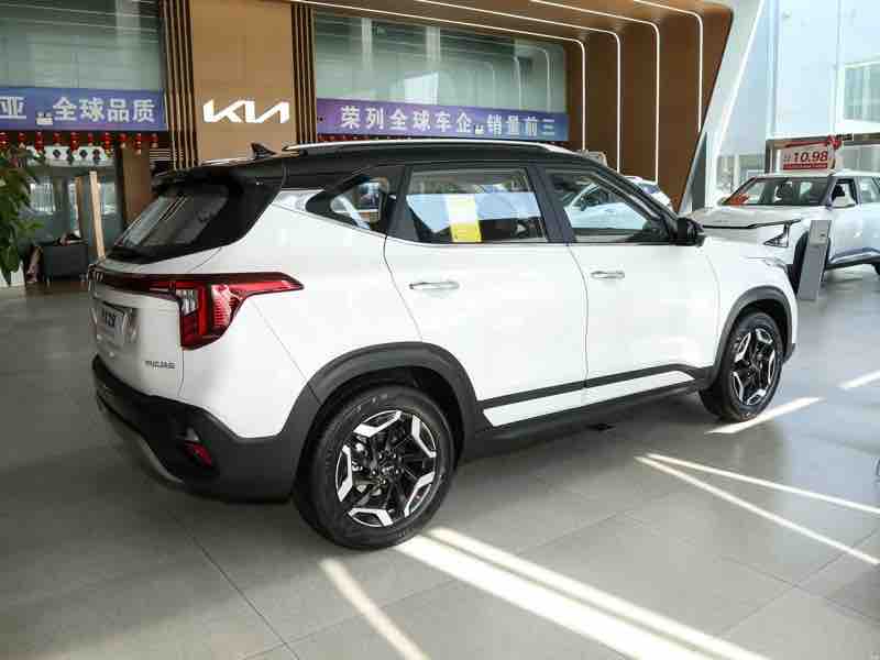 Kia Seltos 1.5L Luxury — фото 9
